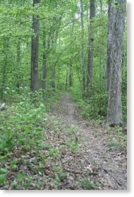Trail around St. Mary's Lake